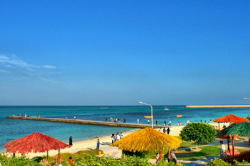کیش